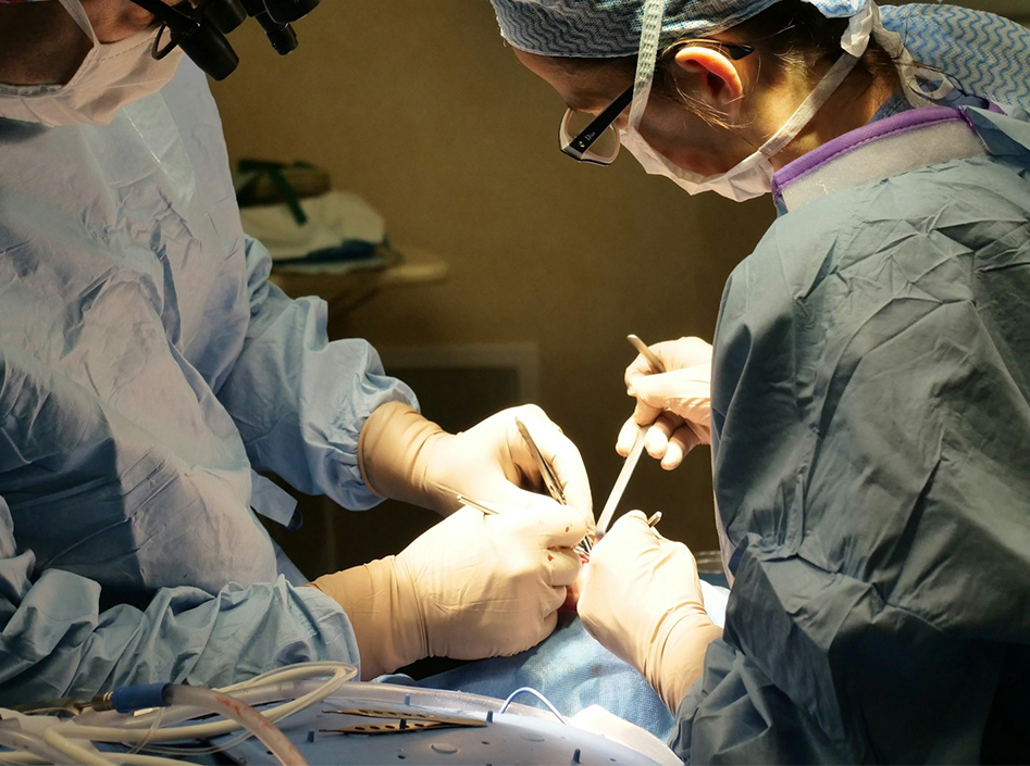 Aplicaciones de dispositivos y accesorios de endoscopia