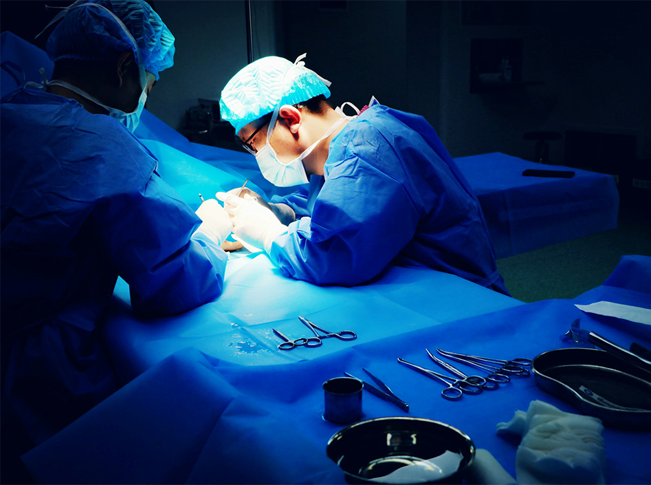 Aplicaciones de la plataforma Endoscopia